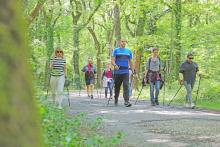 Le bois de Saint-Pierre