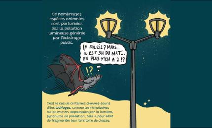 Image du carousel