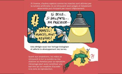 Image du carousel