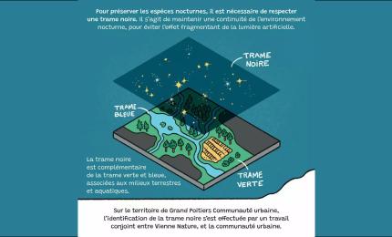 Image du carousel