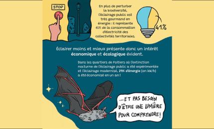 Image du carousel