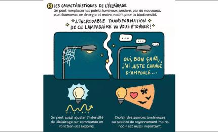 Image du carousel