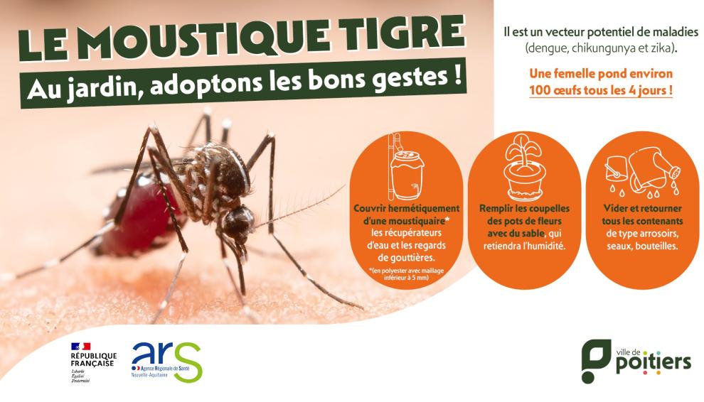 Image mise en avant pour la page